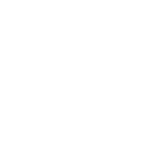 Royal enfield logo